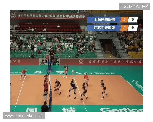 上海排球队在全国排球配合排行榜中荣获第六名的佳绩引发关注 上海排球队在全国排球配合排行榜中荣获第六名的佳绩引发关注