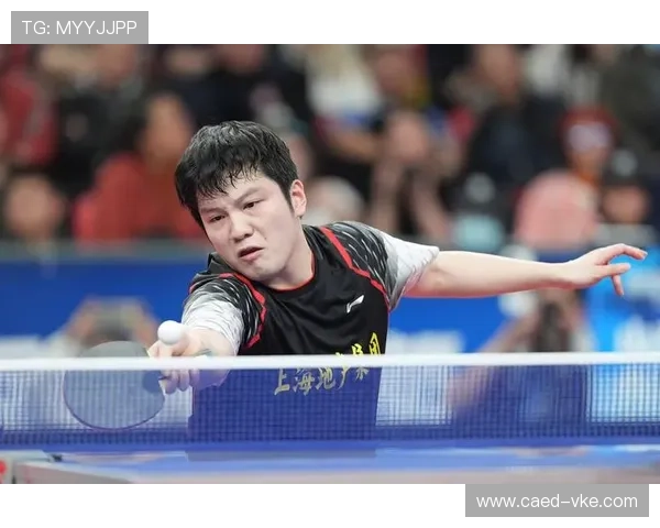 杭州乒乓球队在杯赛中的比赛经验与表现分析与总结 杭州乒乓球队在杯赛中的比赛经验与表现分析与总结
